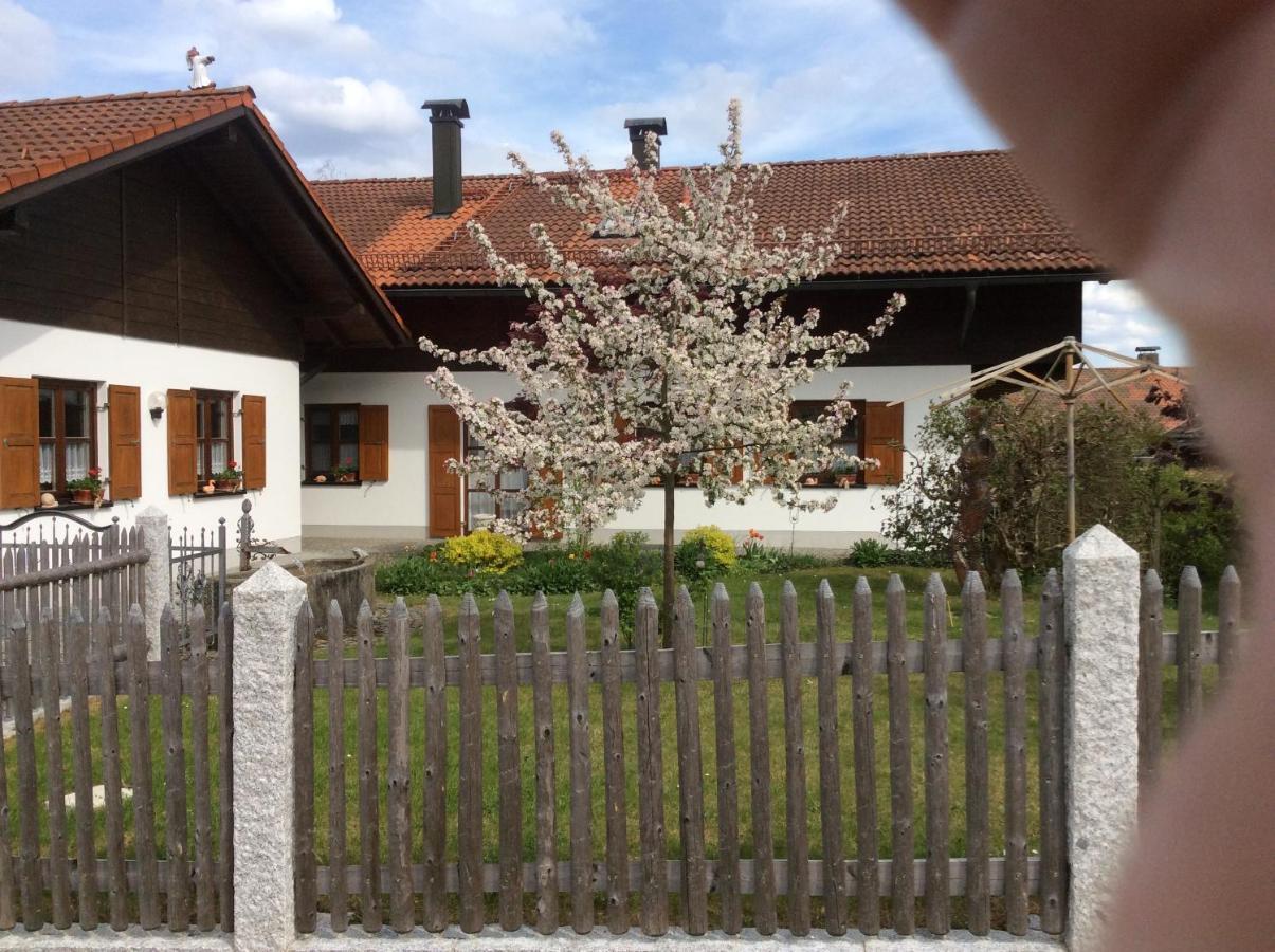 Ferienwohnung Hoermann Langdorf  Exterior foto